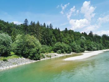 Scenic view of river amidst trees against sky