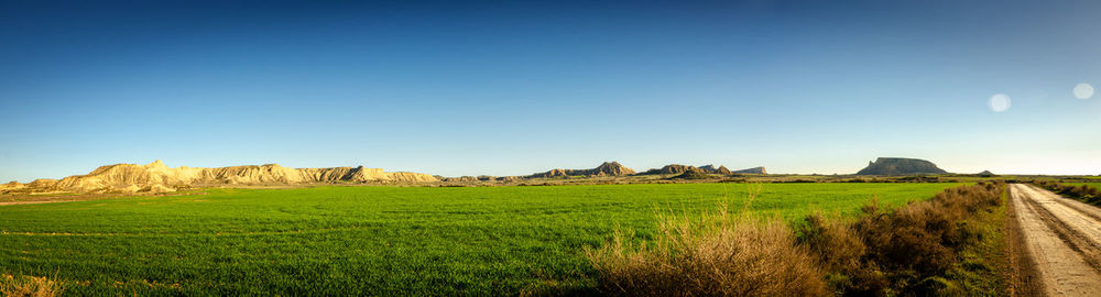 Scenic view of field against clear blue sky