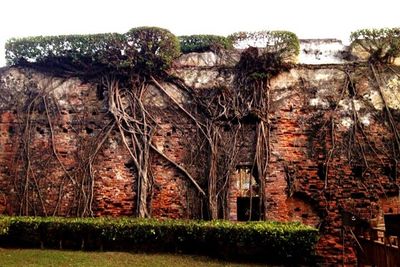 Built structure with trees in background