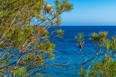 Scenic view of sea against clear blue sky