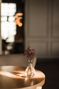 Close-up of flowers in vase on table