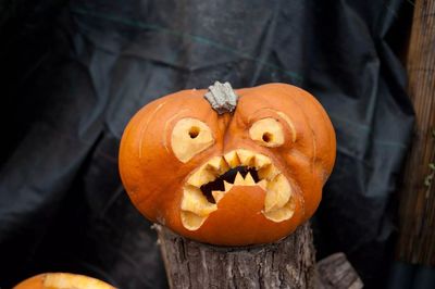 Close-up of pumpkin on wood