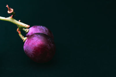 Close-up of apple against black background