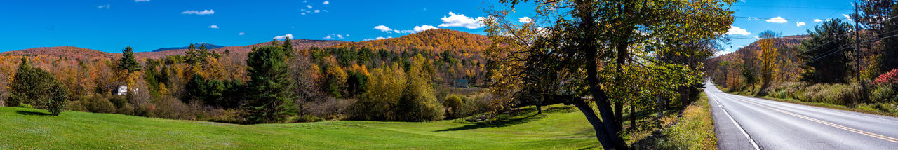 Panoramic view of road amidst trees against sky