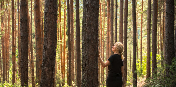 Banner with adult woman in sunny pine forest, idea of restoring health and relaxation forest bathing