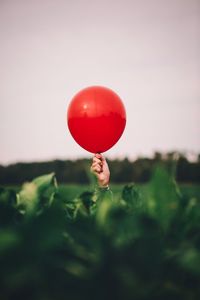 Close-up of red balloons in field against sky