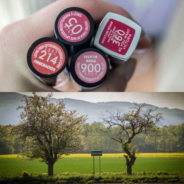 text, grass, communication, western script, tree, field, red, circle, number, information sign, day, green color, close-up, no people, ball, wood - material, sign, grassy, table, outdoors