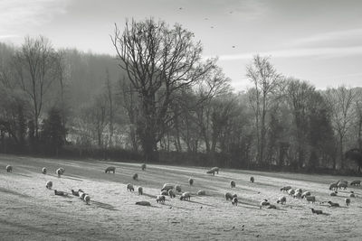 People on snow covered landscape against sky
