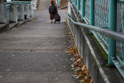 Rear view of woman walking on steps