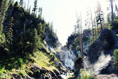 Low angle view of waterfall in forest against clear sky