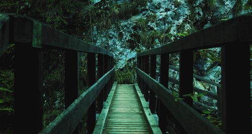 Footbridge amidst trees in forest