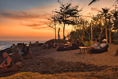 Beach palms and a small bar