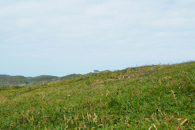 Scenic view of field against sky