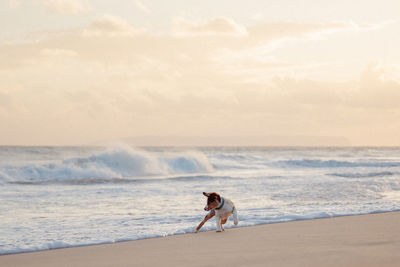 Man on shore at beach against sky