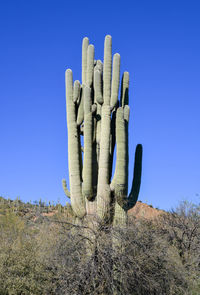 Low angle view of statue against clear blue sky