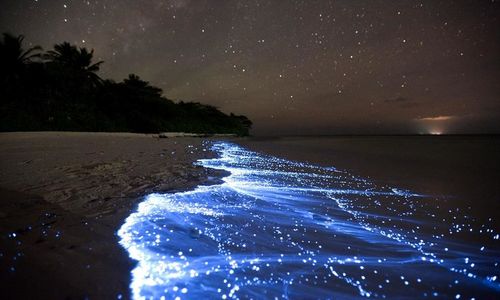 Scenic view of sea against sky at night