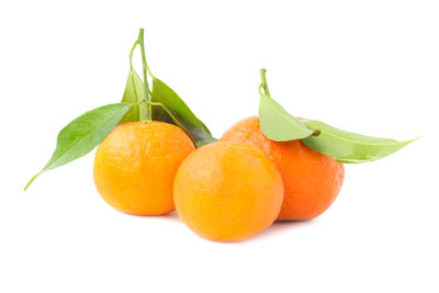 Close-up of orange fruit against white background