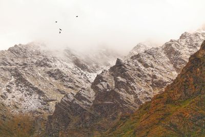 Low angle view of bird flying over mountains against sky