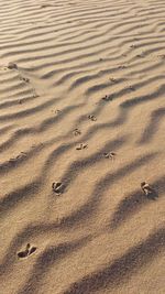 High angle view of footprints on sand at beach