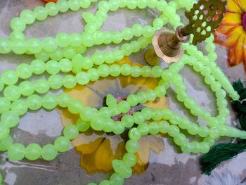 High angle view of green plants