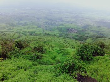 Scenic view of landscape