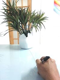 Close-up of hand holding plant against table