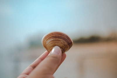 Close-up of hand holding snail