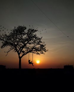 Silhouette tree on field against sky during sunset