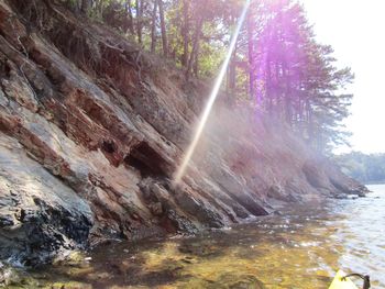 Low angle view of waterfall in forest