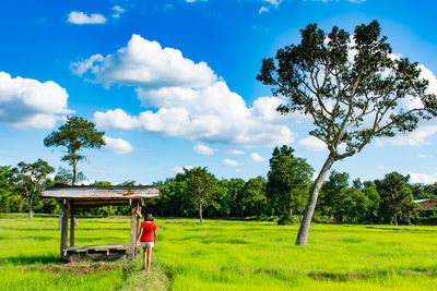 Rear view of woman walking on field against sky