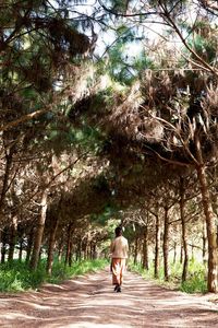 Rear view of man walking on footpath amidst trees