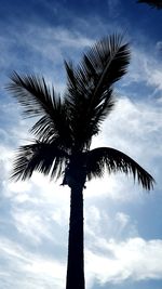 Low angle view of palm tree against cloudy sky