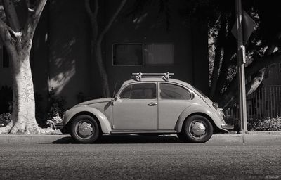 Car parked on tree