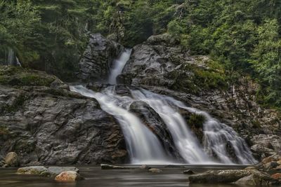 Scenic view of waterfall in forest