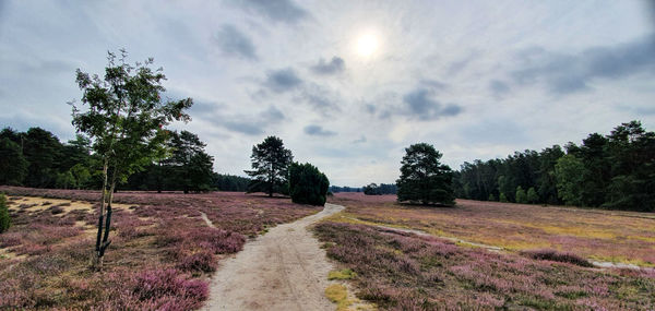 Scenic view of land against sky