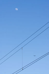 Low angle view of birds flying against blue sky