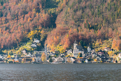 Scenic view of river in forest during autumn