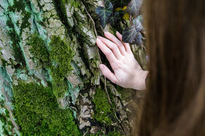 Cropped hand of woman touching tree trunk in forest