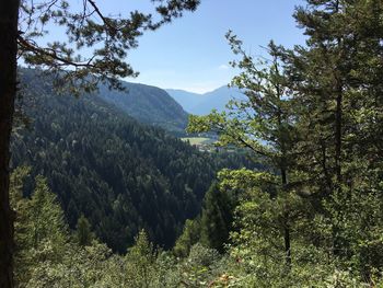 Scenic view of trees and mountains against sky