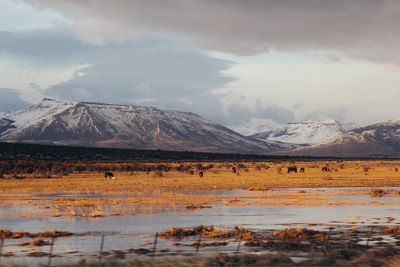 Scenic view of lake by snowcapped mountains against sky