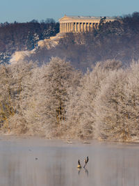 Walhalla memorial in donaustauf near regensburg, sea birds on danube river on winter day with snow