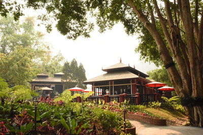 View of house and plants in garden
