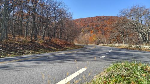 Road amidst trees against clear sky during autumn