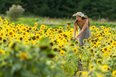 Beautiful young woman in straw hat and linean country style dress walks through a field of sunflower