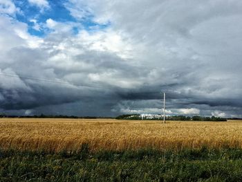 Scenic view of field against sky