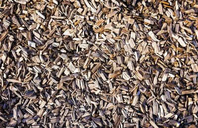 Full frame shot of wood shavings