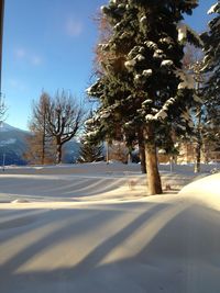 Trees on snow covered field against sky