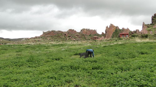 Man working on field against sky