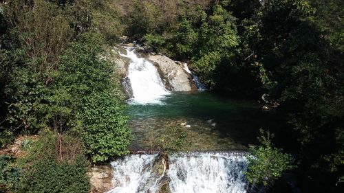 Scenic view of waterfall in forest