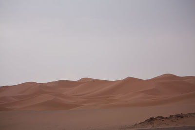 Scenic view of desert